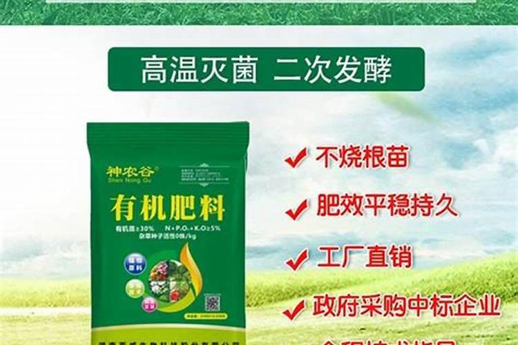 盆栽植物开花可以喷叶面肥吗