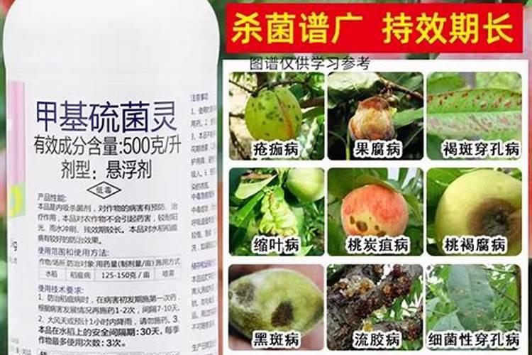 杀菌类农药有哪些