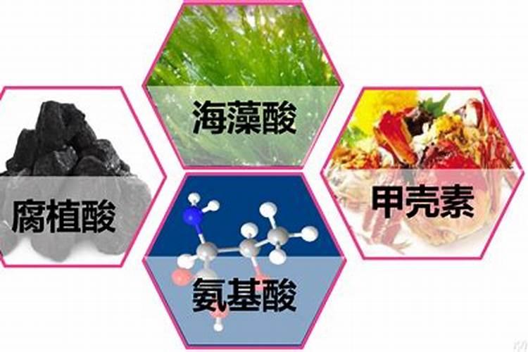 橘子树用什么肥好