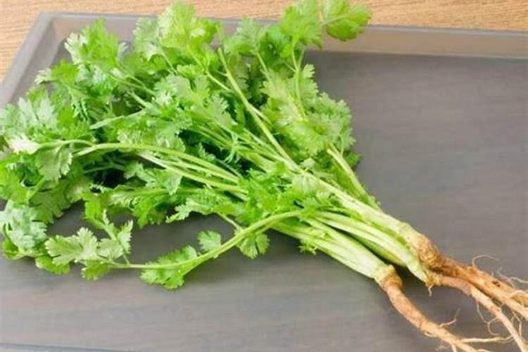 香菜浇什么肥料合适