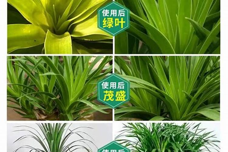 北京微量元素检查多少钱？