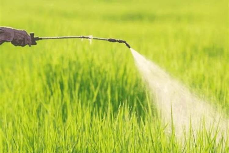 尿素能不能和酸性杀虫剂一起用