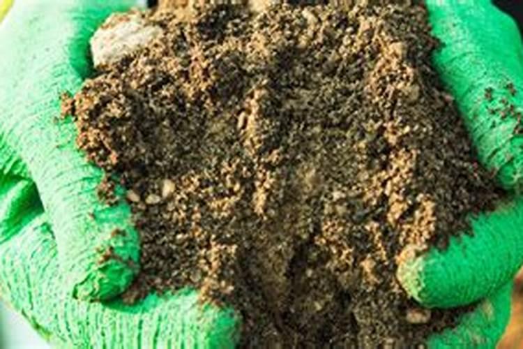 氨气在工业上的应用有那些