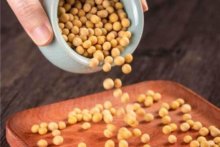 用大豆做底肥的使用方法 怎样用黄豆做肥料
