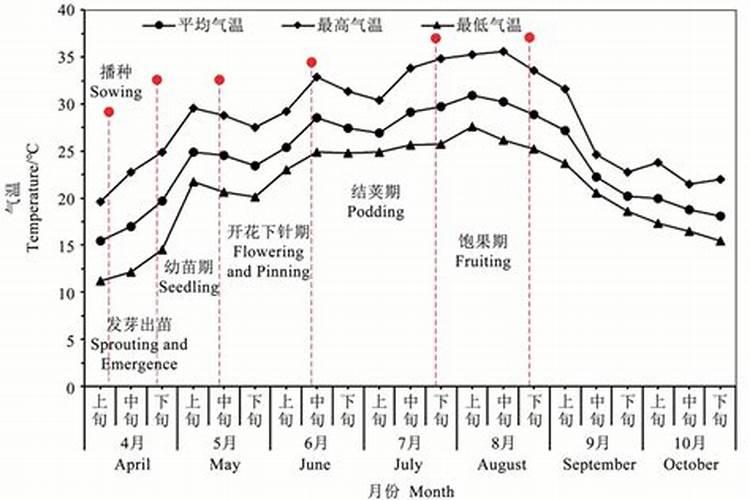 荔枝果开裂是什么引起的用什么药