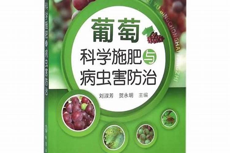 脐橙秋季施肥与病害管理技术