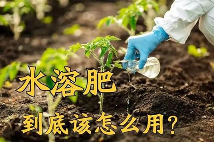 斤水溶肥兑多少水,水溶肥如何使用效果才好