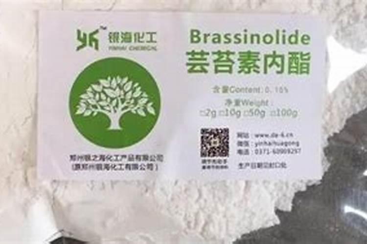 茄子用什么肥料好 怎么给茄子施肥