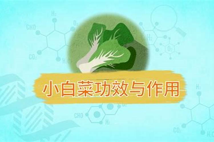 种白菜如何施肥