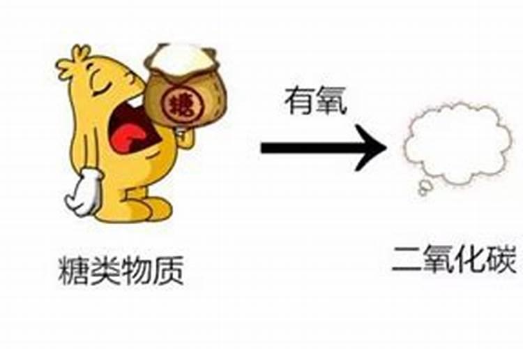 做面包泡打粉和酵母粉可以同时使用么？？