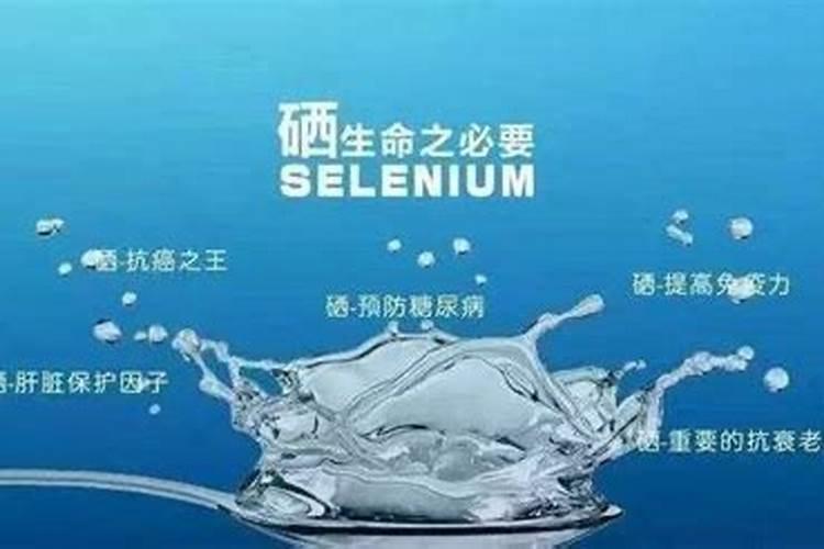 中国最好的叶面肥