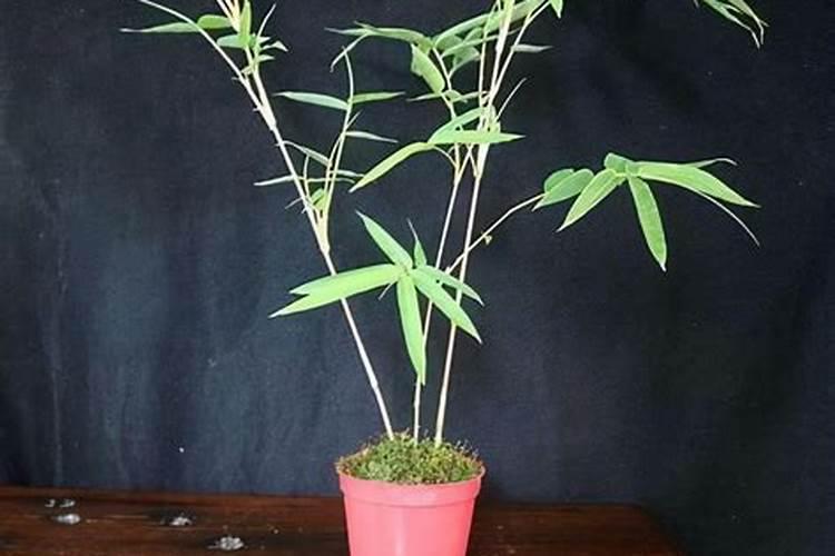 我国当代优秀的科学家有哪些