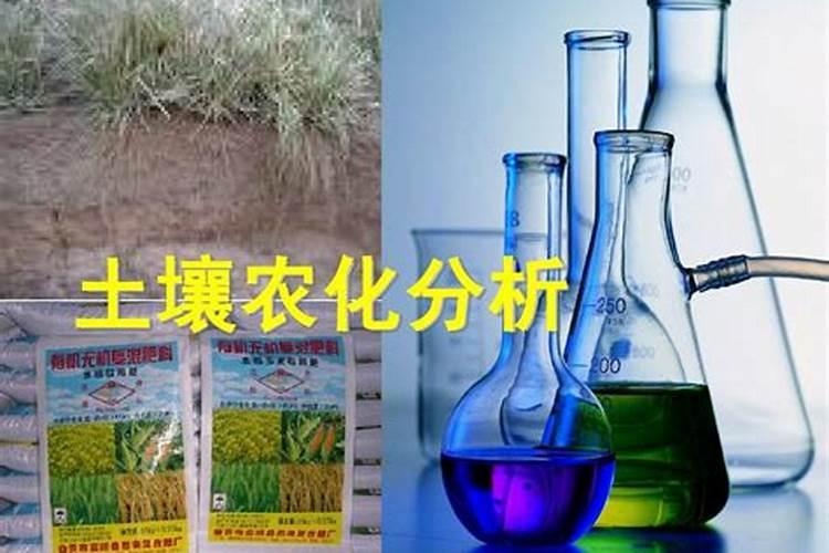 了解土壤肥料的基本知识(土壤肥料技术)