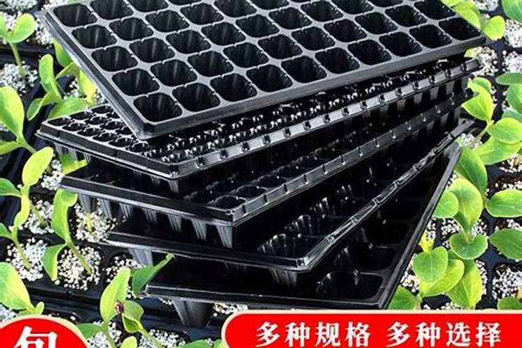 在果树上如何施用钙肥