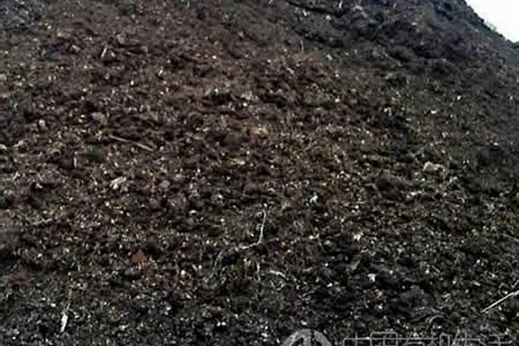 什么叫有机肥？