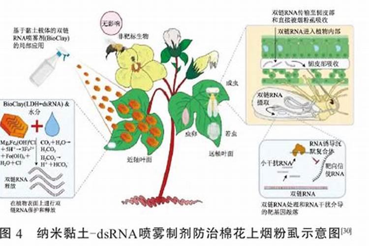 糖醇钙不能和什么复配？