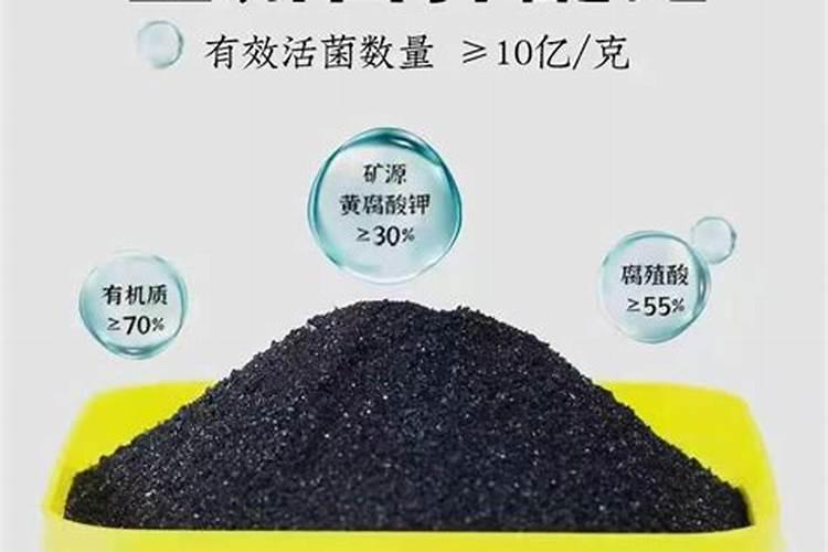 梨膨果期具体的施肥时间 管理方法有哪些