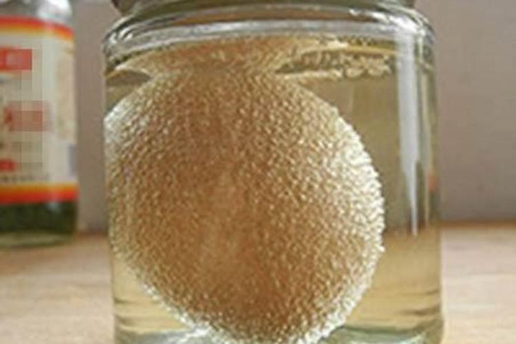 长寿花肥用什么合适 肥料制作与使用方法