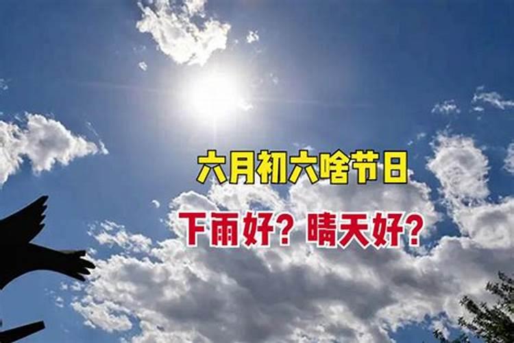 施磷肥是晴天好还是阴雨天好