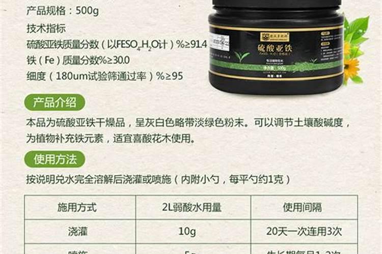 养殖多肉时该注意什么？需不需要多晒太阳呢？