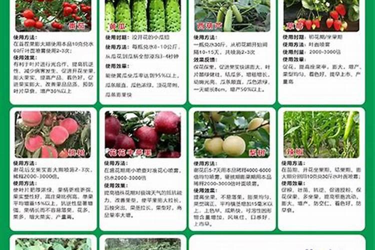 西瓜膨果期用什么肥料