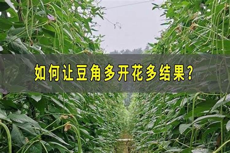 花生肥氮磷钾配方