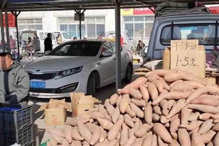 关于蔬菜种植的学术论文