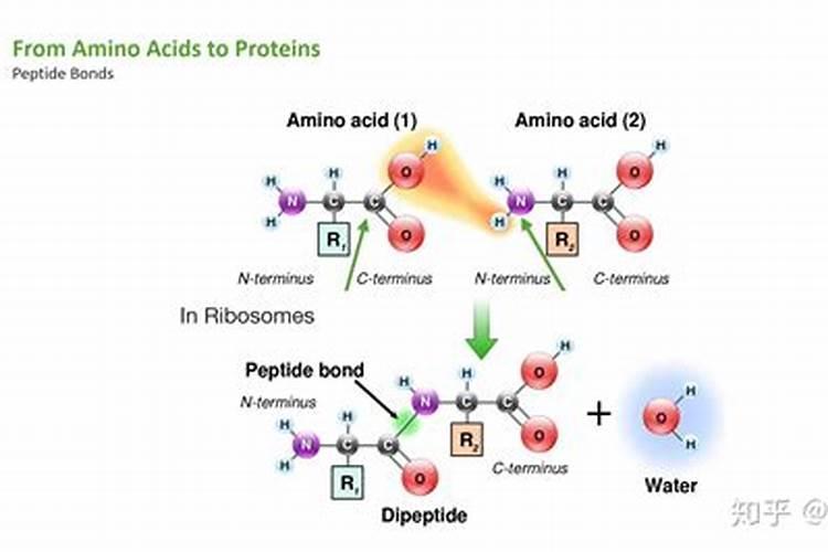 钙肥可以和磷酸二氢钾一起喷施吗