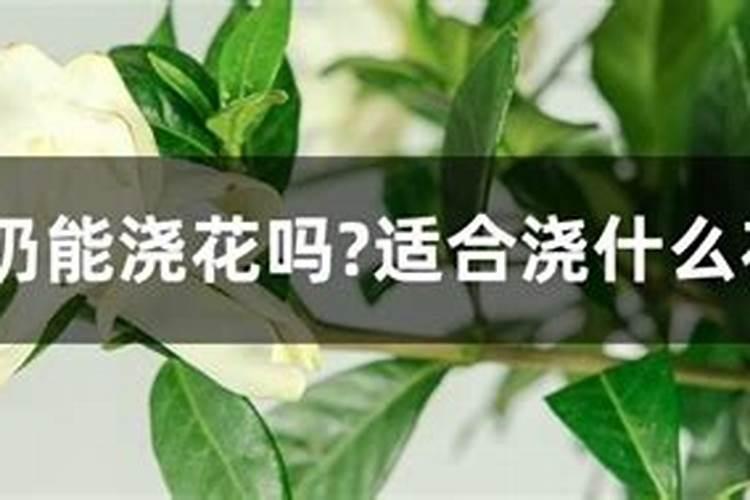 莱西市高新技术企业有哪些公司？