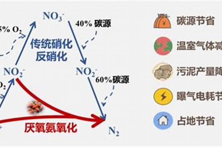 氨氮不达标原因有哪些？氨氮不达标的解决办法？