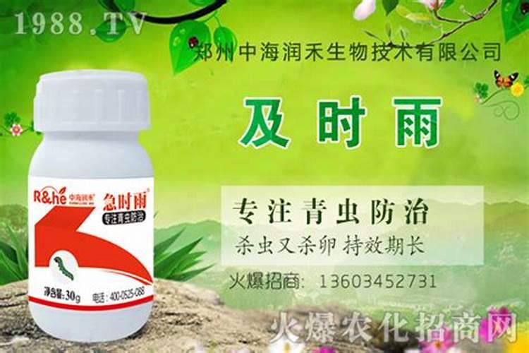 常用的杀虫剂还有哪些？如何使用