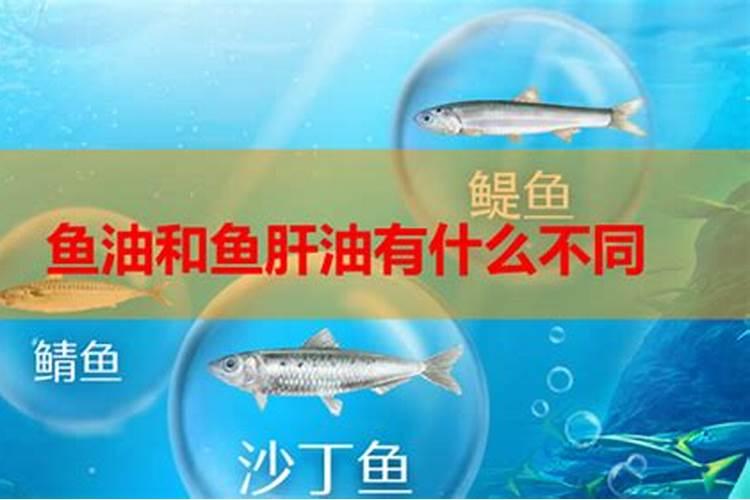 自制热带鱼鱼饲料配方