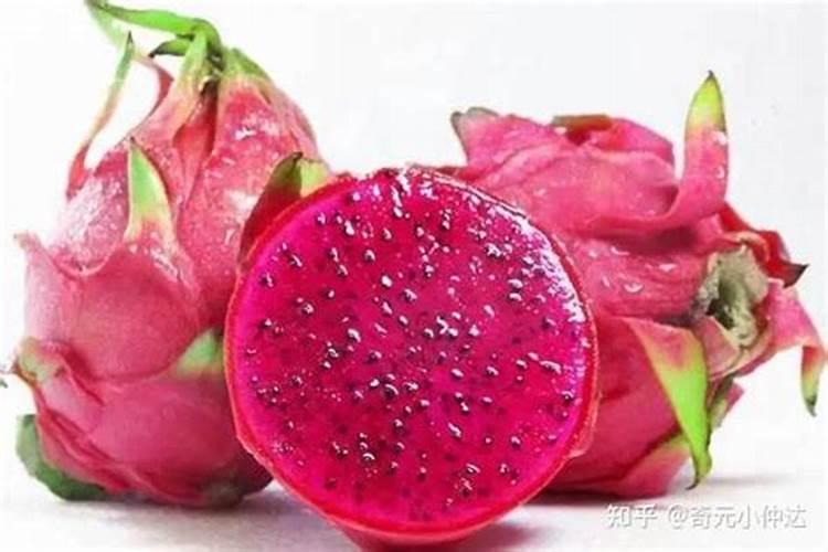 火龙果施什么肥最好 火龙果的施肥要点