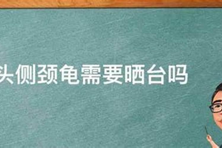 西兰花都是绿色的吗？