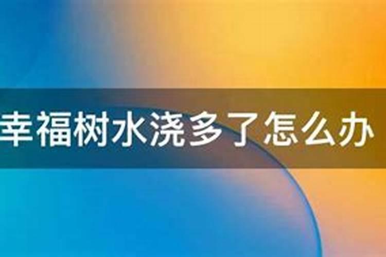 长寿花买回来可以马上换盆吗