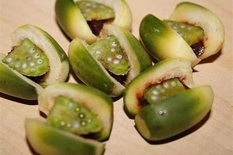大青叶板蓝根提取物应用介绍