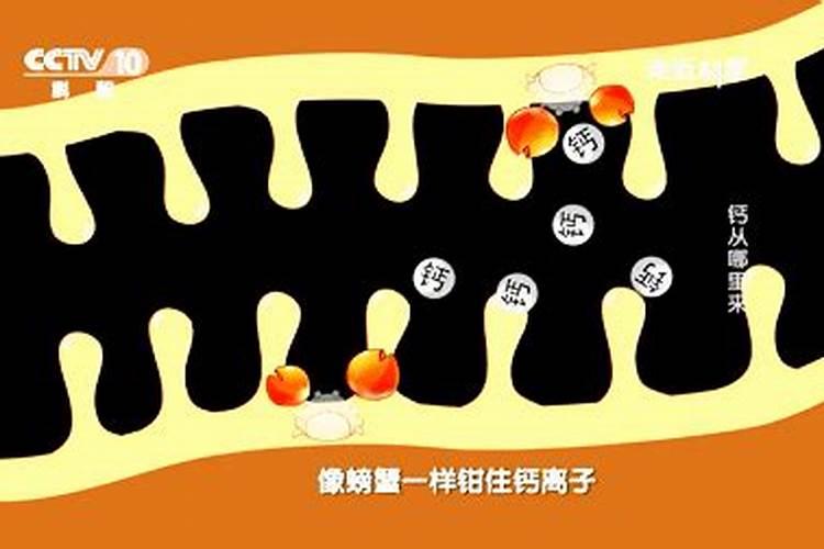 螯合肥是什么肥