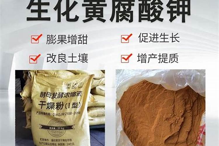 蓝莓用什么肥料最好