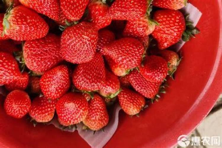 草莓控旺的注意事项,草莓控旺上什么水溶肥好？