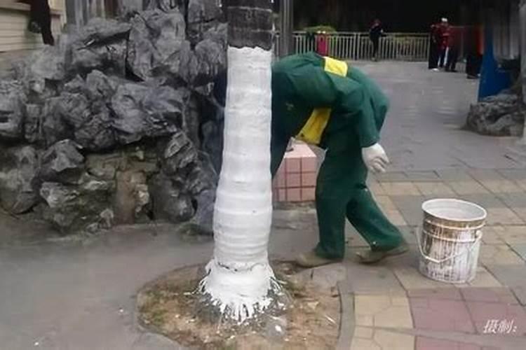 自制水溶肥