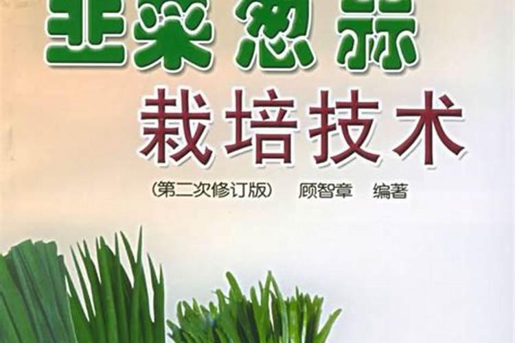 冬季种韭菜怎么管理能产量高？