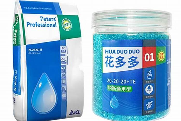 月季花冬季如何施肥效果最好,可以用水溶肥吗？