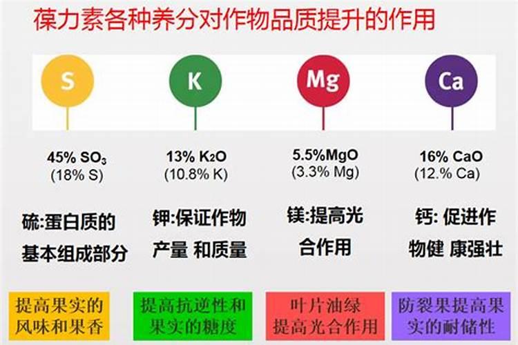 中量元素肥料有哪几种