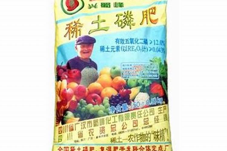 墨兰几月份出花苞