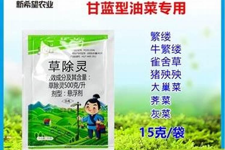 我的甘蓝栽培后十天心发白不长根还很好怎么治？