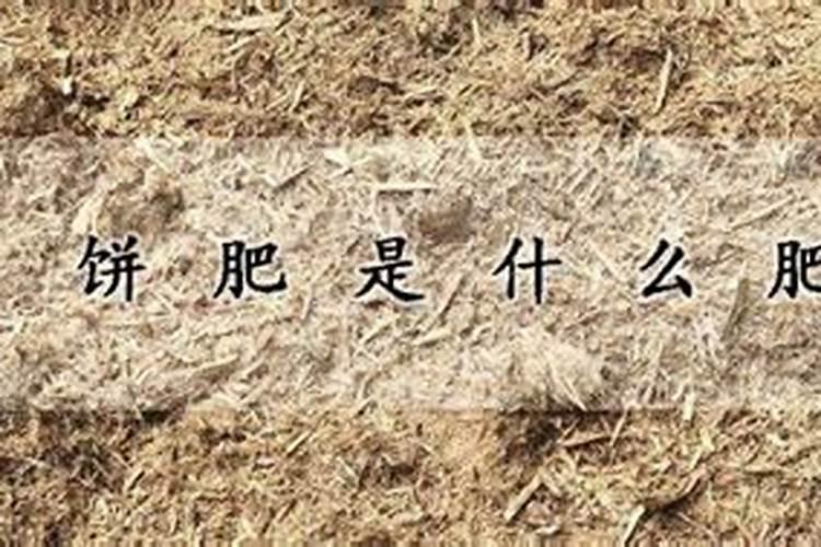 韭菜施肥用什么肥料