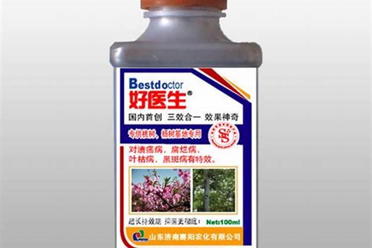 吉德一号杨种植方法