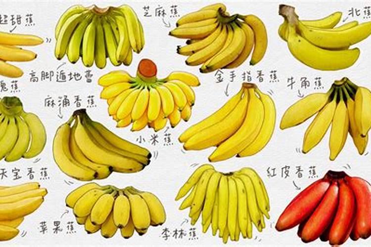 香蕉多久施一次肥 施什么肥长得快