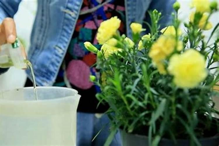 泰和源商店在什么地方