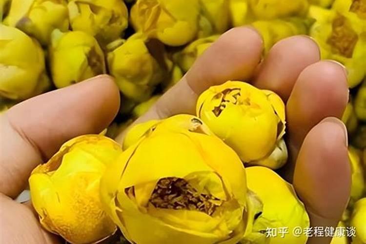 金花茶不长叶子怎么办